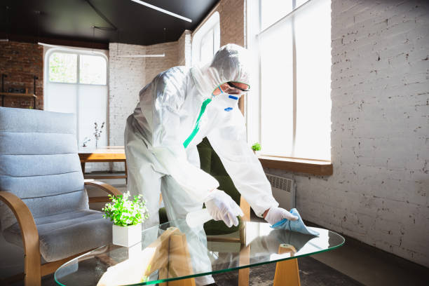 Best Forensic Mold Investigation  in West Melbourne, FL